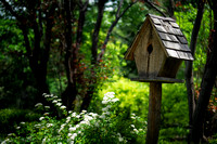 Birdhouse in a Garden