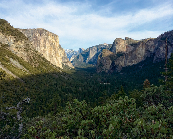 Yosemite Valley near Old inspiration Point.