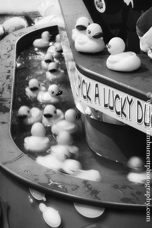Pick A Lucky Duck