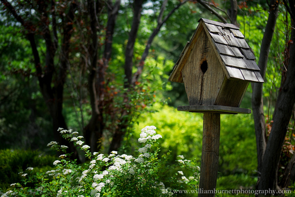 Birdhouse in a Garden